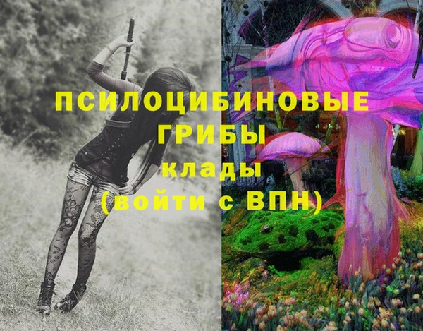 МДПВ Нефтекумск