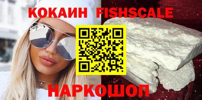 дмт Кингисепп