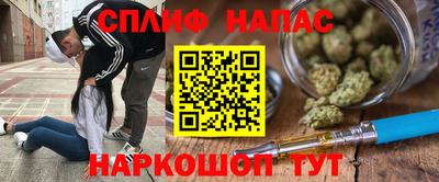 дмт Кингисепп