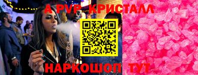 дмт Кингисепп