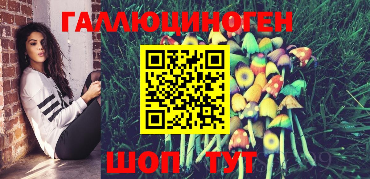 Псилоцибиновые грибы Psilocybe Солнечногорск