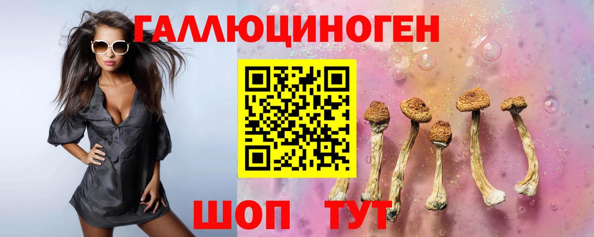 Солнечногорск  Псилоцибиновые грибы GOLDEN TEACHER  Вход с VPN 